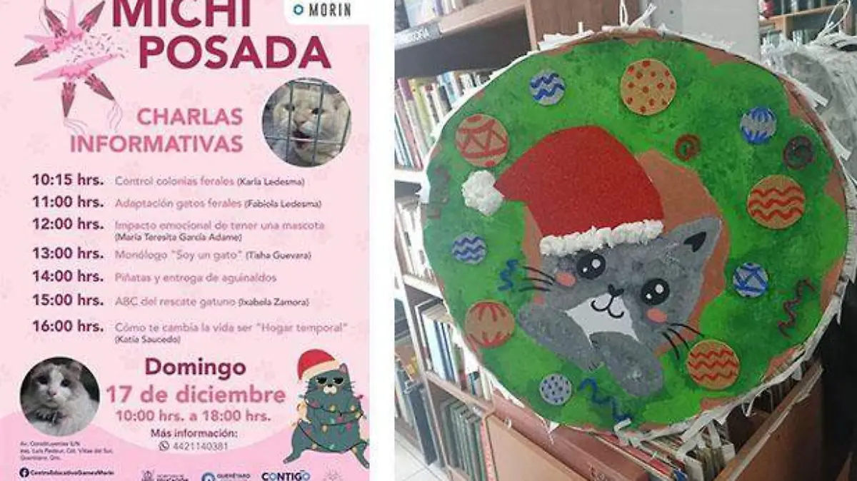 Michi posada